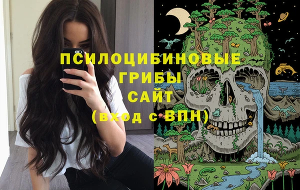 прущая мука Алексин