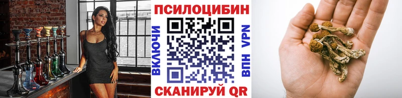 Псилоцибиновые грибы прущие грибы  Бавлы 