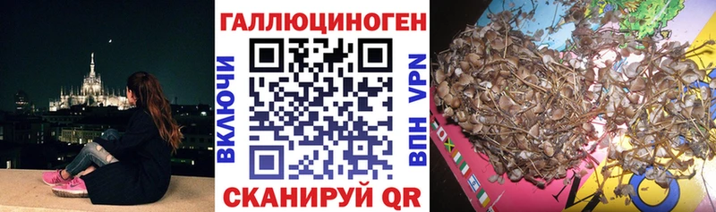 Галлюциногенные грибы мухоморы Бавлы