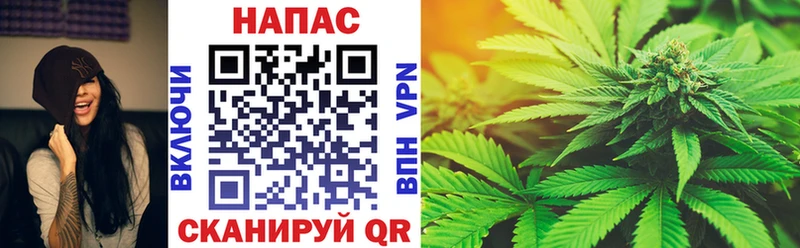 купить наркотик  Бавлы  Каннабис конопля 
